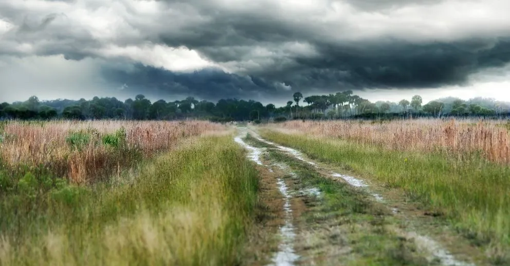 How Weather Conditions Affect Generator Performance