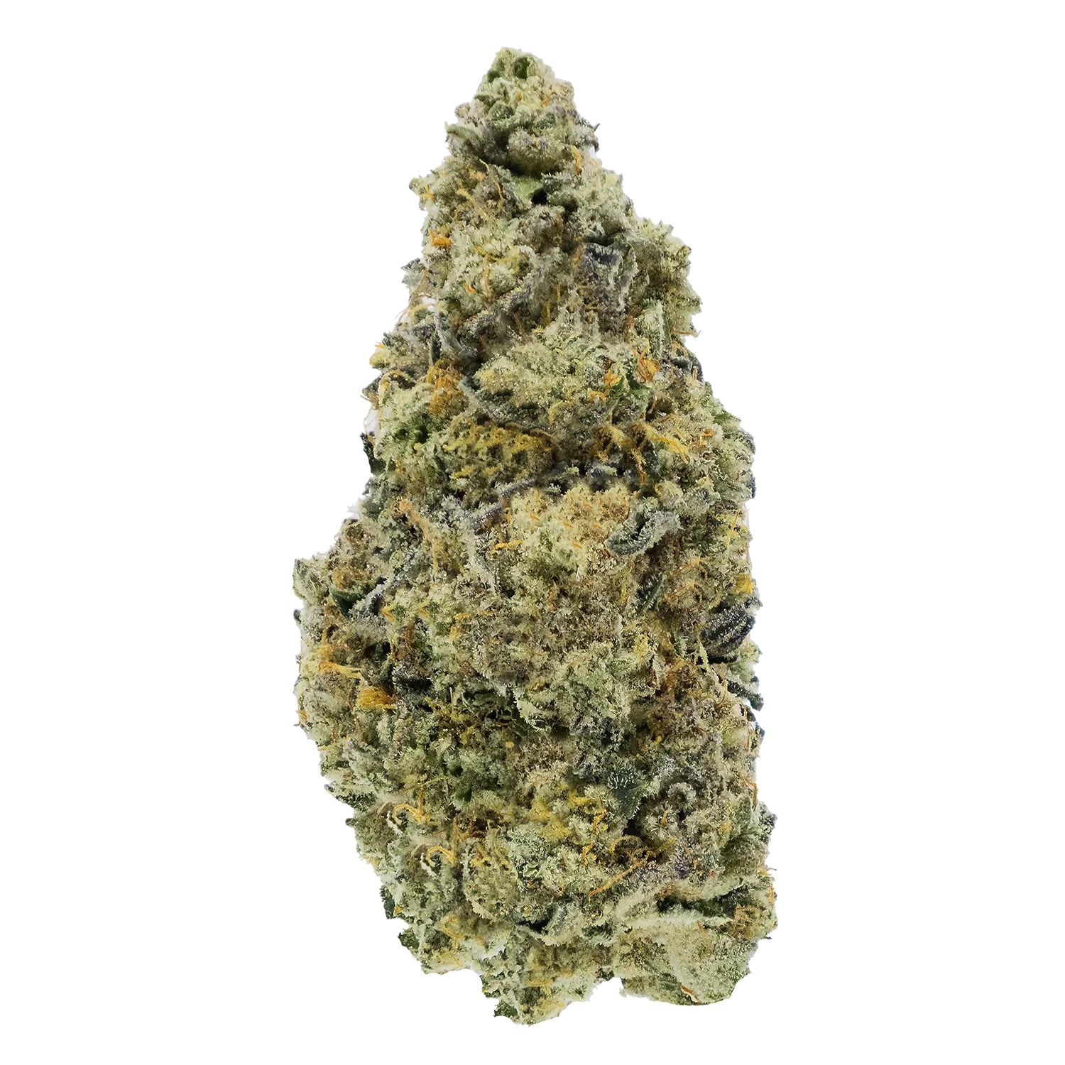 dark-rainbow bud