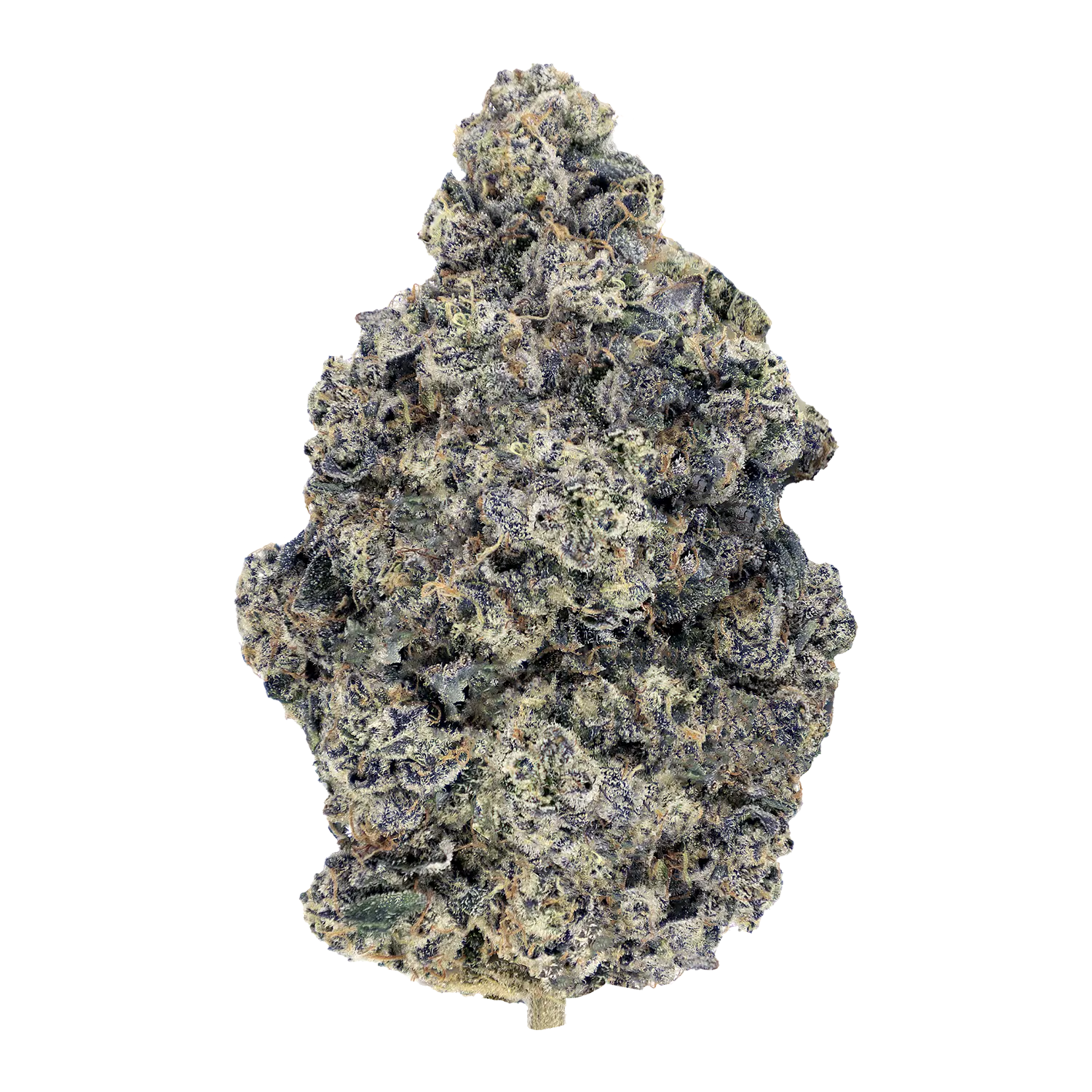 33-splitter bud