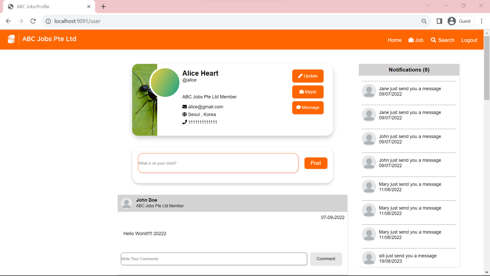 Image of Spring Boot Project 1