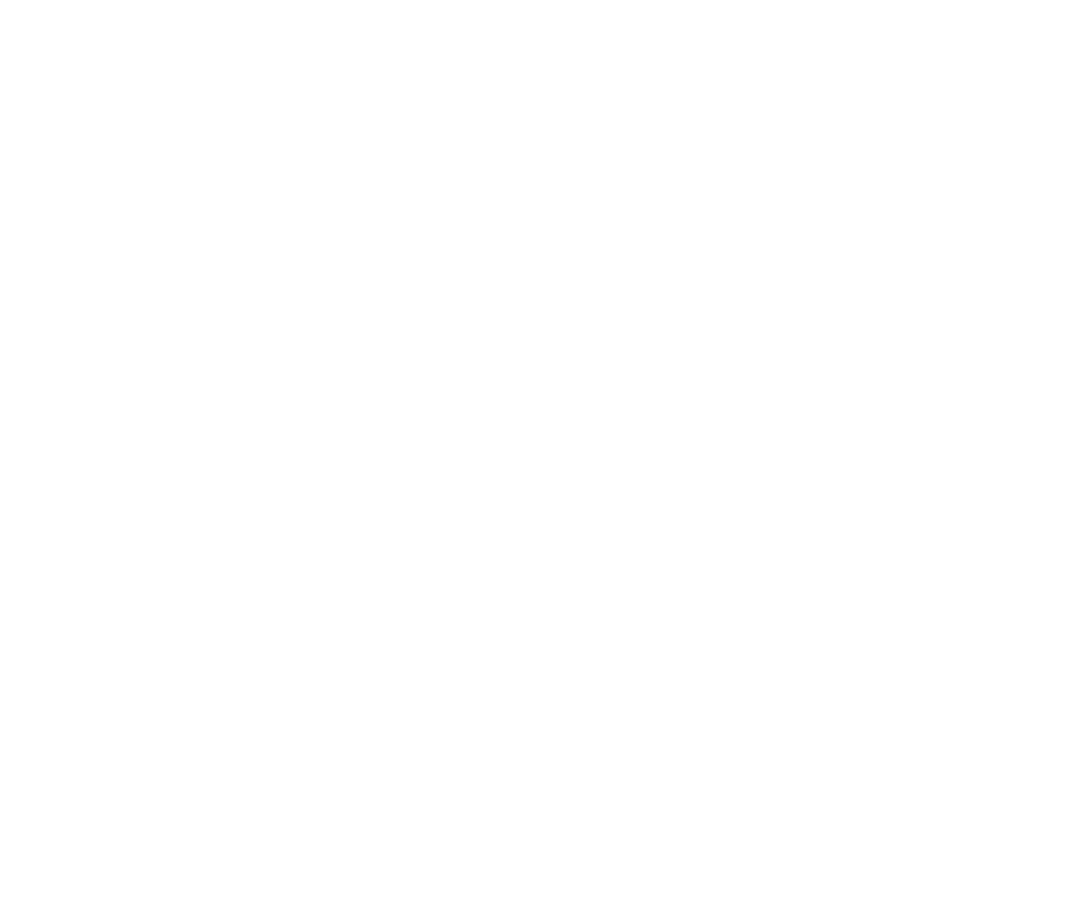 Brooklyn Boy Bagels logo in white