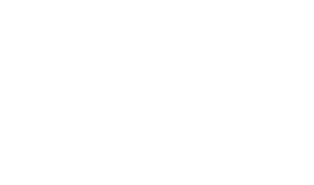 Birdeye logo in white
