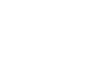 databricks logo in white
