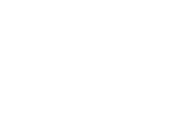 flare logo in white