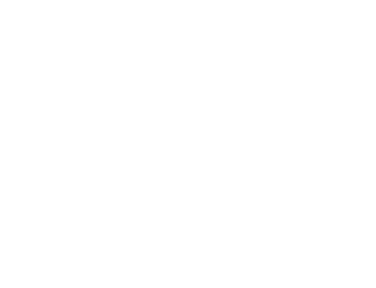 ninjaOne logo in white