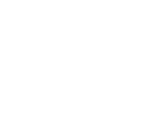 workday logo in white