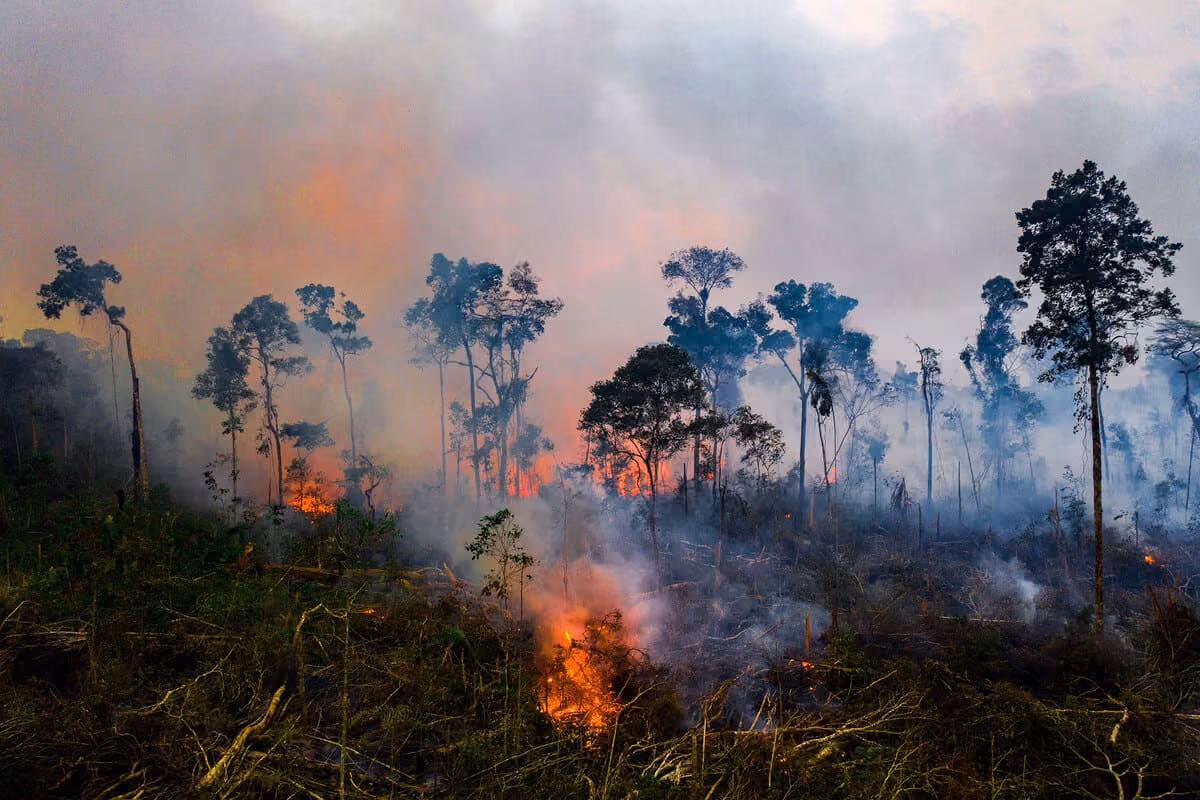 Foundations Respond to the Climate Crisis: More Alarm Than Action