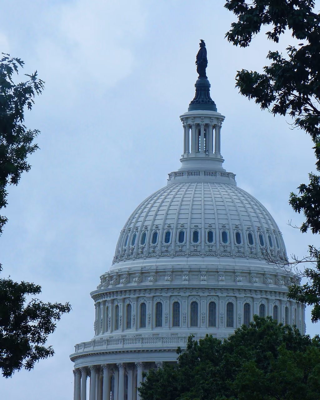 Exploring the Landscape of Political Lobbying: What Private Foundations Can and Cannot Do