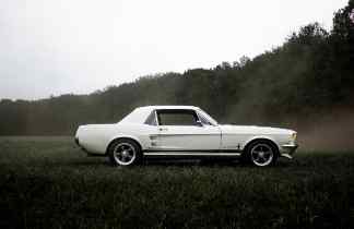 side view of a white car