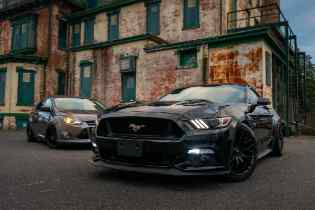two mustangs viewed from the front with older buildings in the background