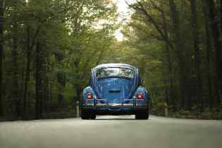 rear view of a blue vw beetle on a road lined with trees