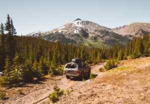 truck out in the forest and off road