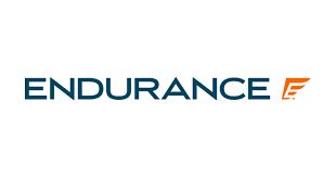 endurance logo