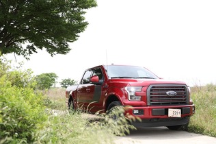 Ford F-150 on a country road next to a field