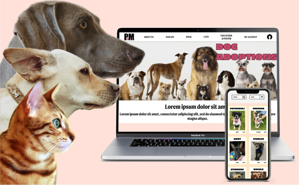 a profile of two dogs and a cat, with a laptop and a smartphone displaying the website
