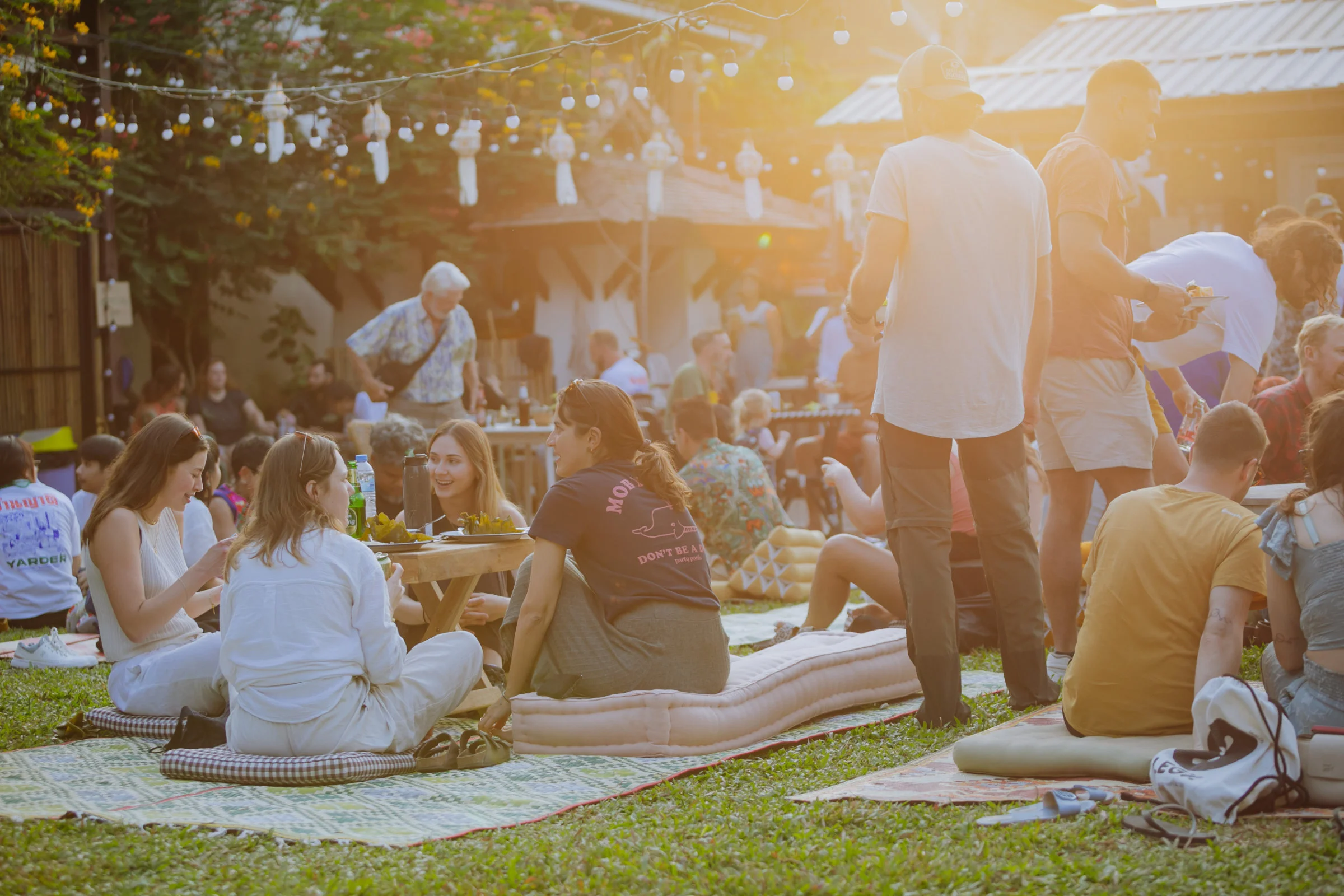 the yard chiang mai picnic 