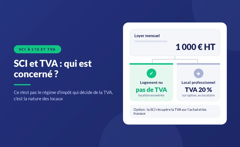 SCI à l'IS et TVA : qui est concerné ?