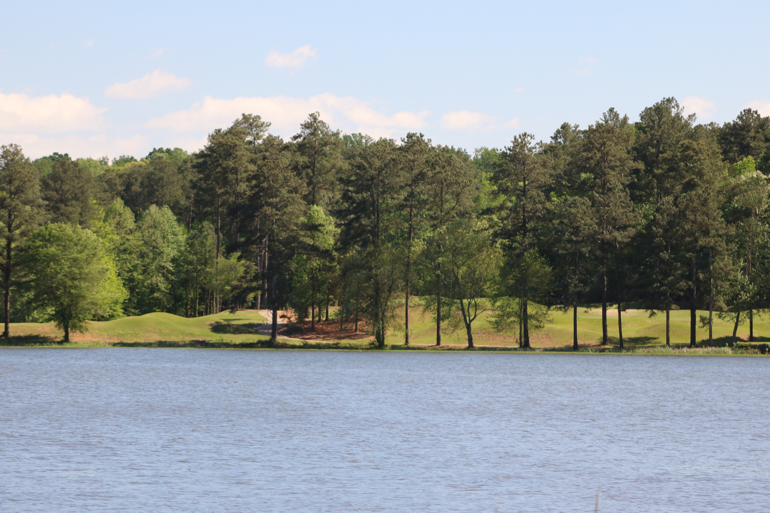 reserve studies acworth