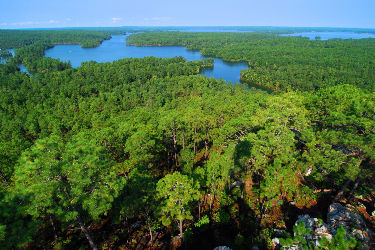 Reserve Study Lake Martin