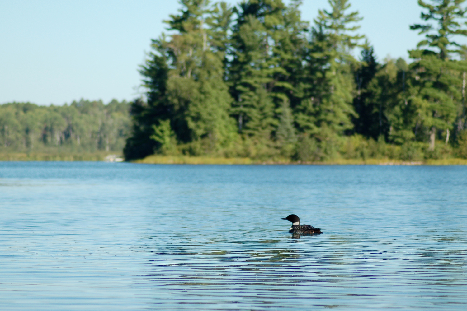 Reserve Study Prior Lake