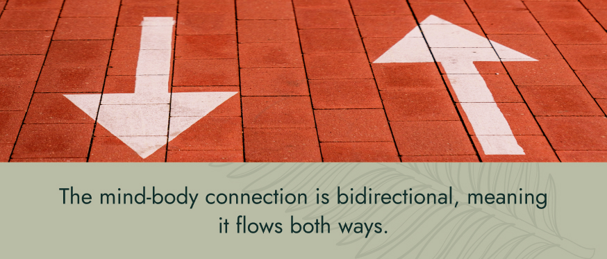 Image: Brick street with white arrows pointing forwards and backwards Text: The mind-body connection is bidirectional, meaning it flows both ways.