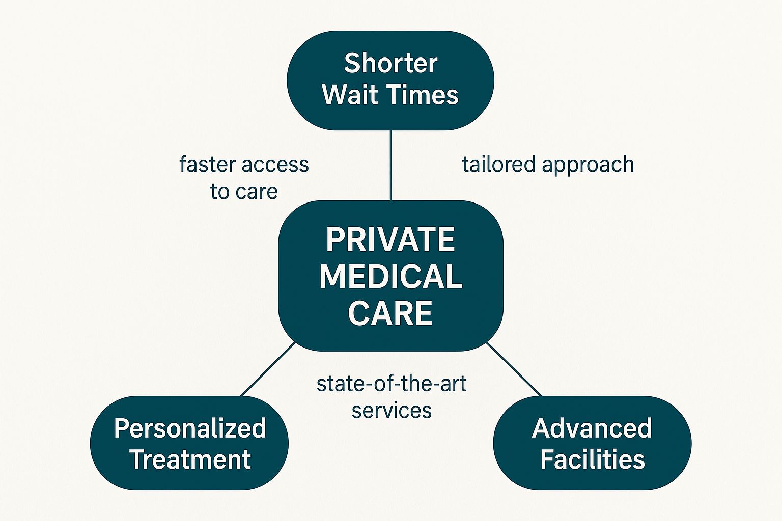 Infographic about private medical care