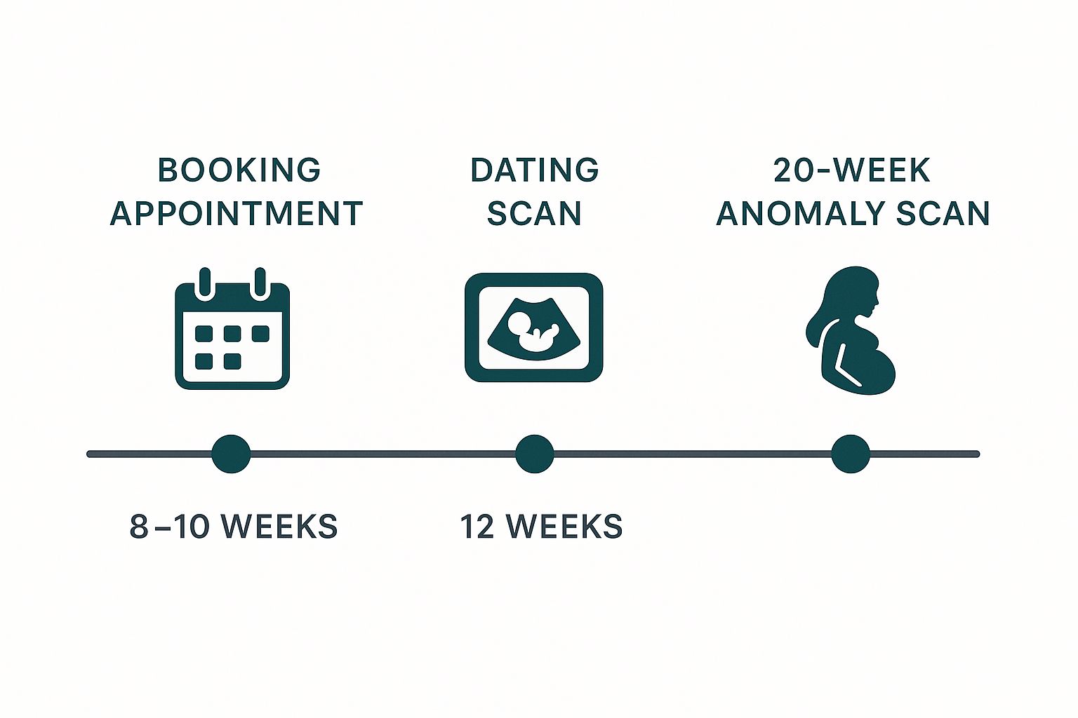 Infographic about prenatal care appointment schedule