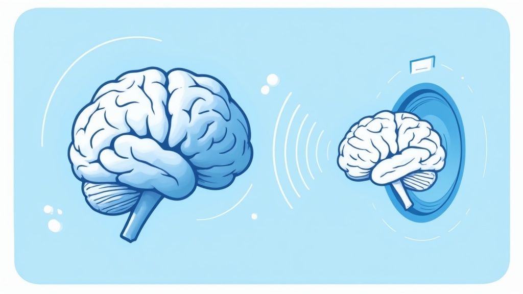 A detailed MRI scan of a human brain, showing intricate structures in monochrome.