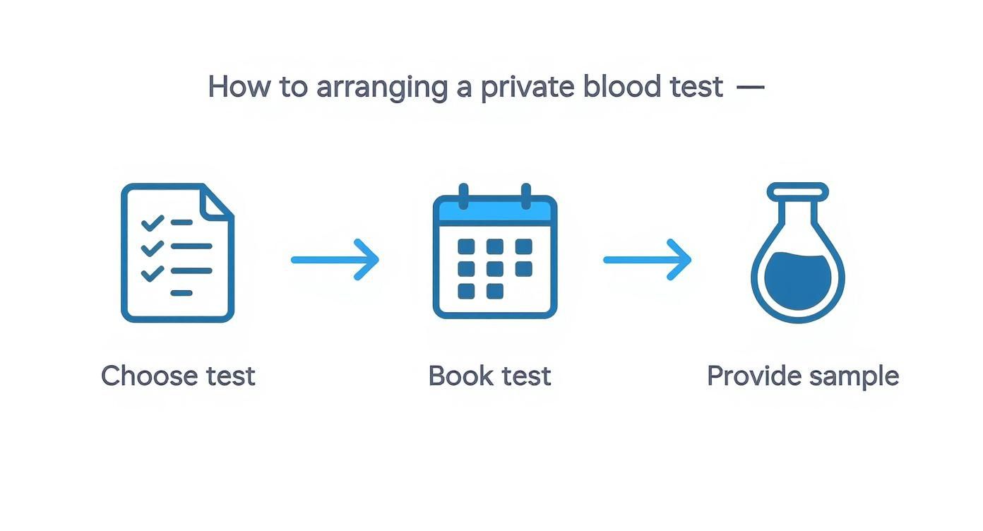 Infographic about private blood tests