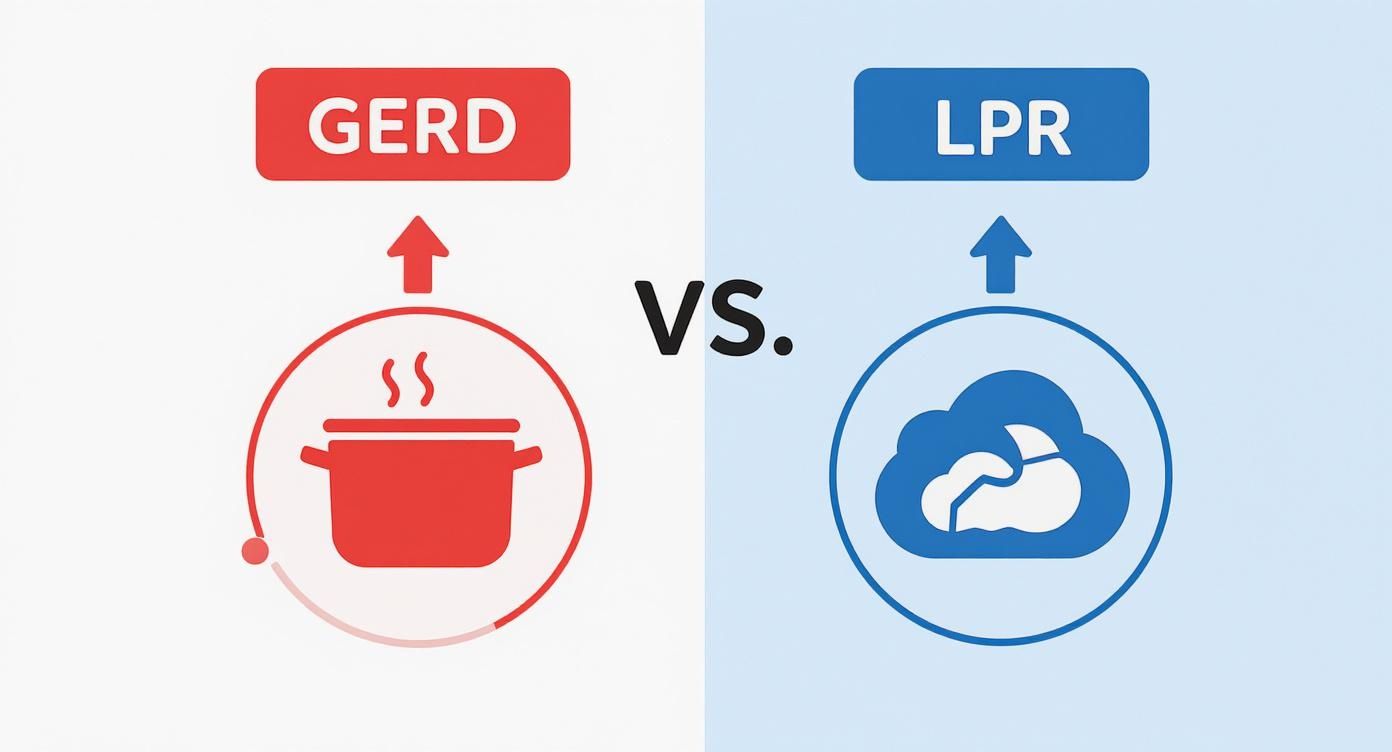 Infographic about silent reflux symptoms