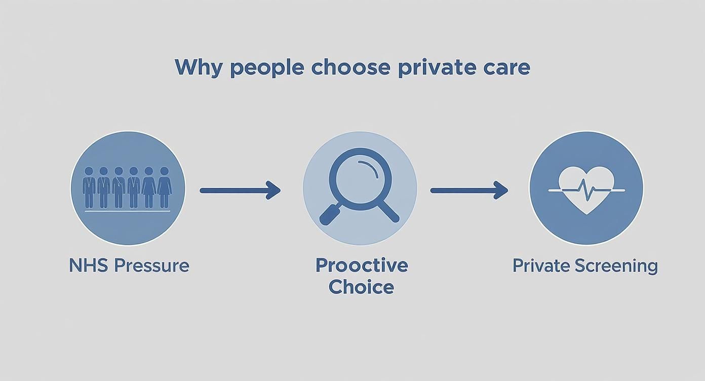 Infographic about private health screening