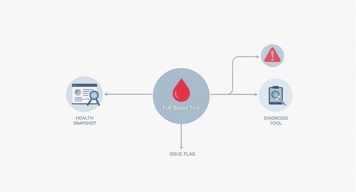 Infographic about full blood test