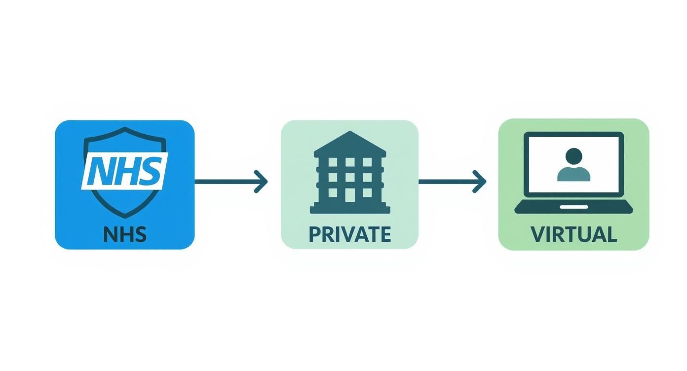 Healthcare pathway diagram showing NHS, private, and virtual GP appointment options available to patients