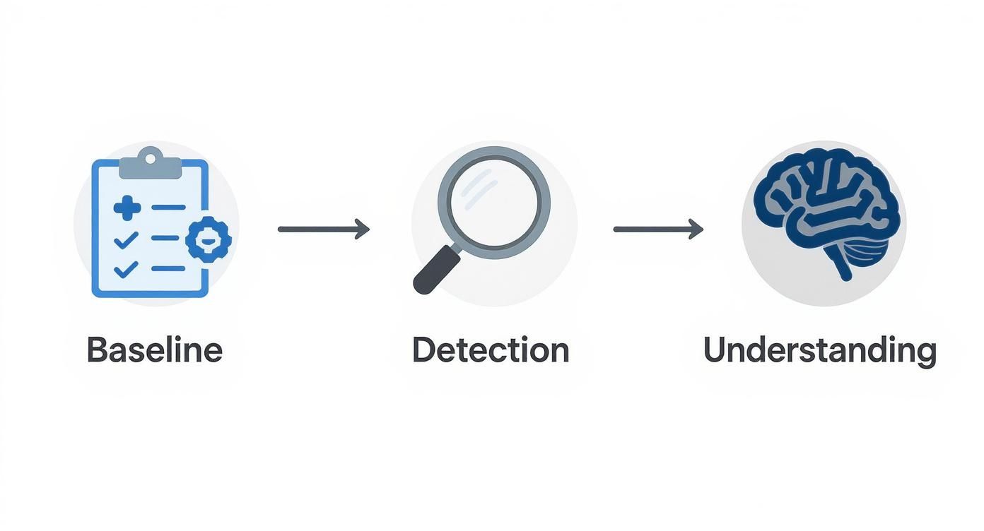 A diagram illustrating a three-stage process: Baseline assessment, Detection, and Understanding with relevant icons.