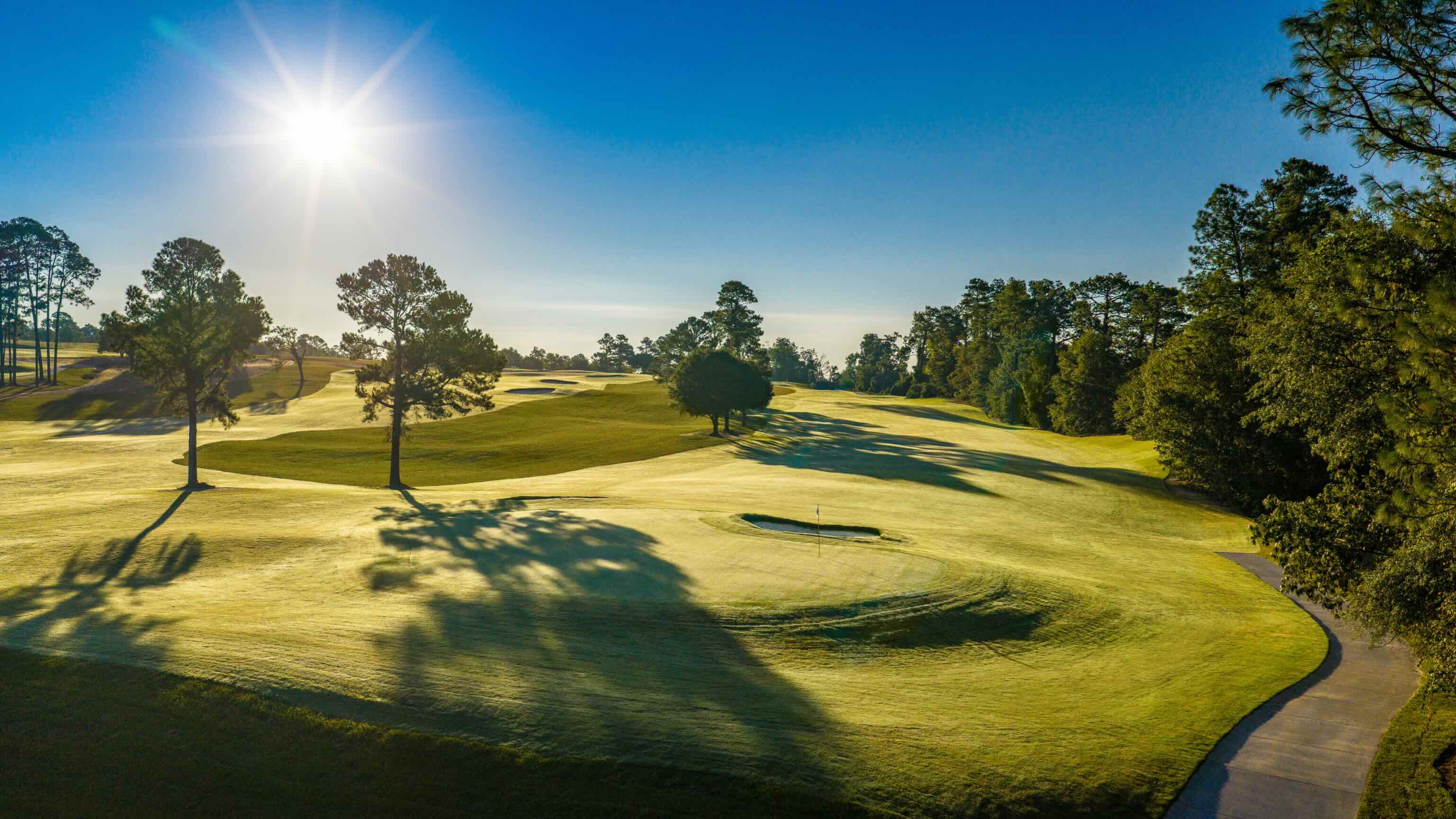 The Patch Announces Plans for Reopening