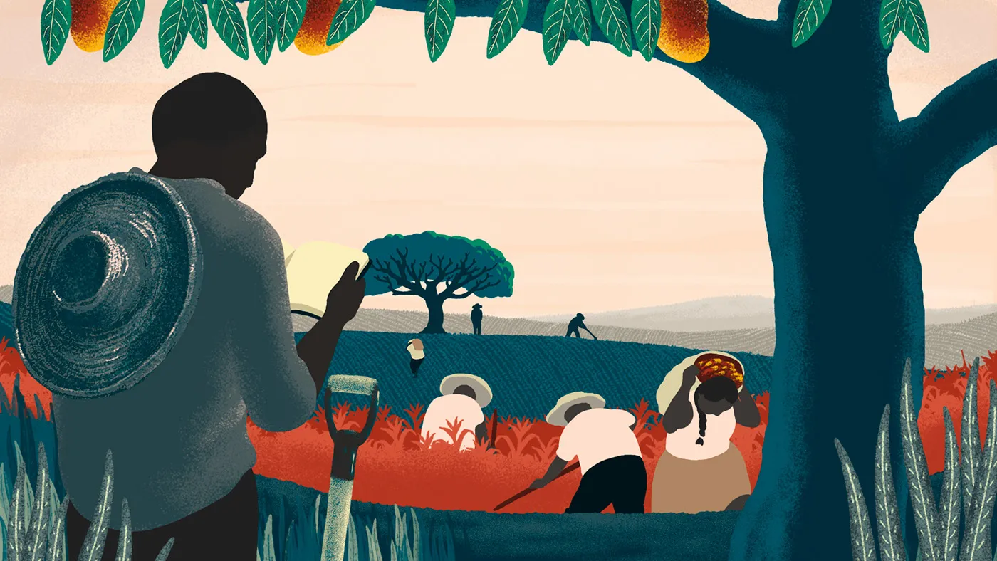 2D character animation Seed Regulation