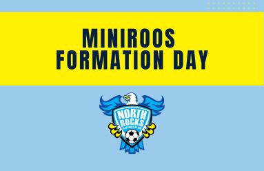 Youth soccer team posing together on grass field with some players wearing yellow pinnies.