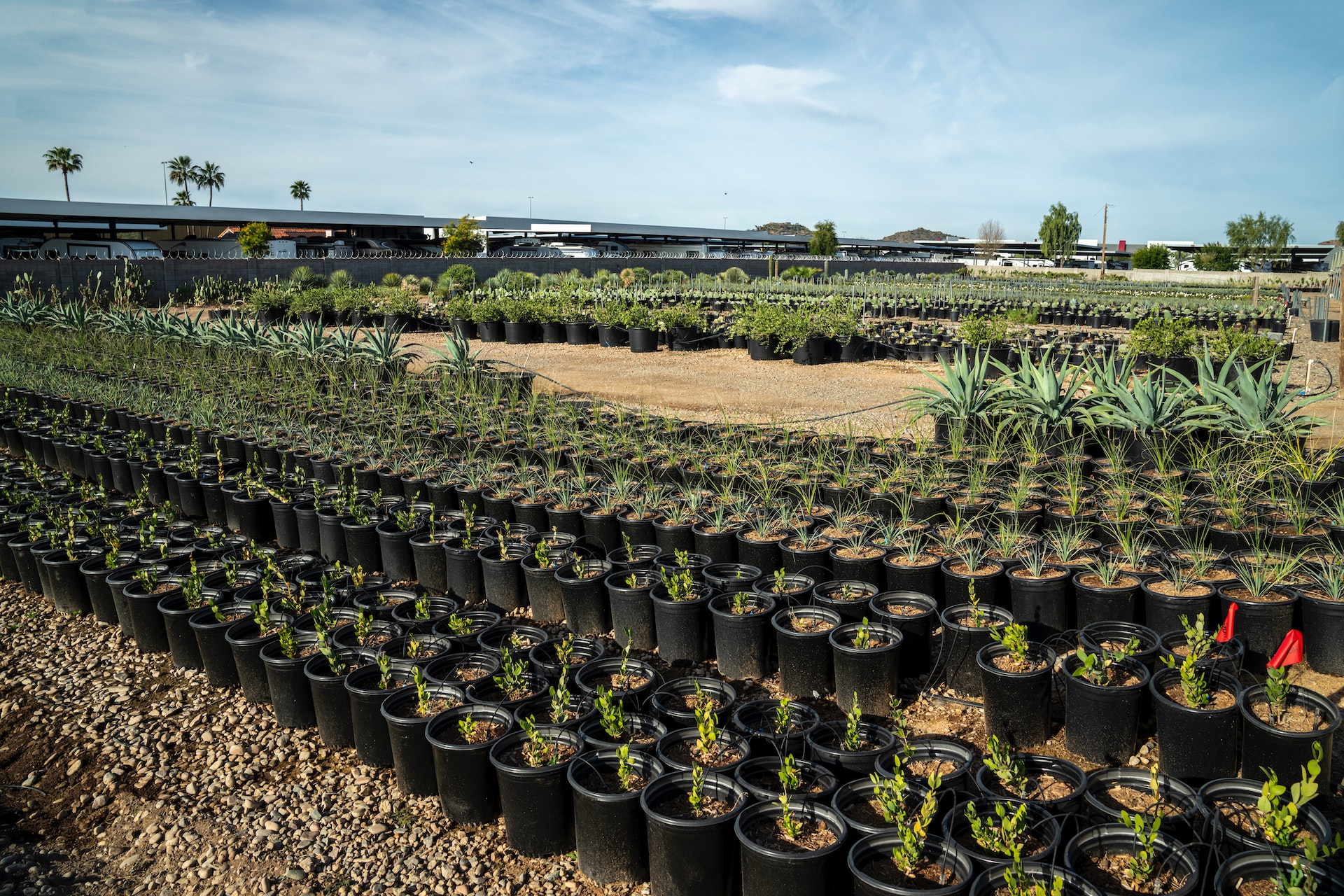 Professional Horticulture Consultants