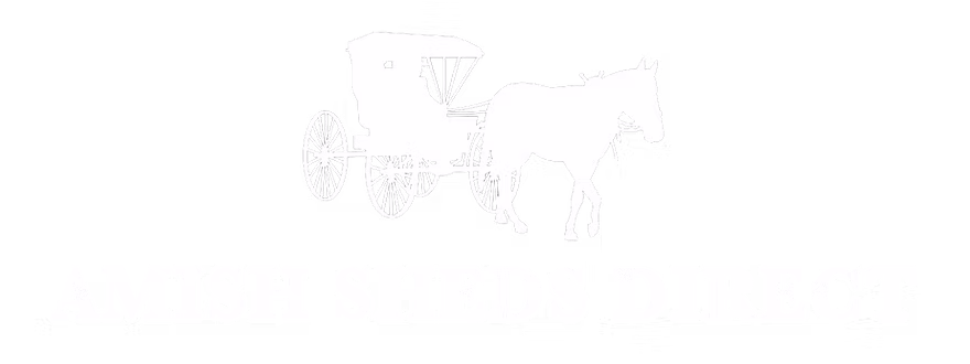 Ephicient logo