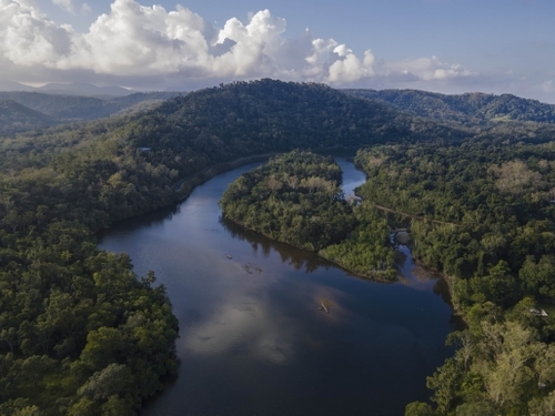 Daintree tours. Things to do in Daintree. Best tours from Daintree. Half-day to multi-day overnight trips. A variety of things to do in Daintree. Explore the Daintree surroundings with your family or travel mates - Far North Escapes