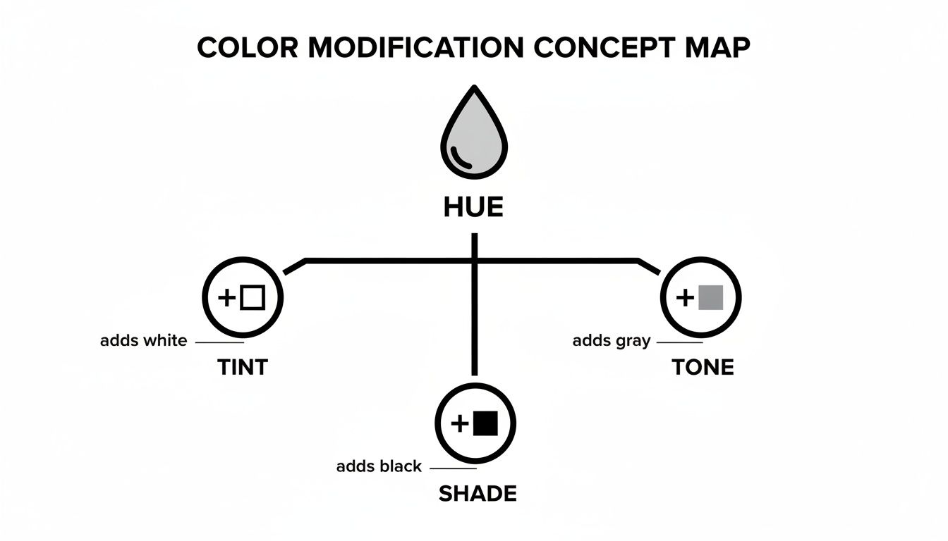 A color modification concept map showing how hue is altered by adding white for tint, gray for tone, and black for shade.