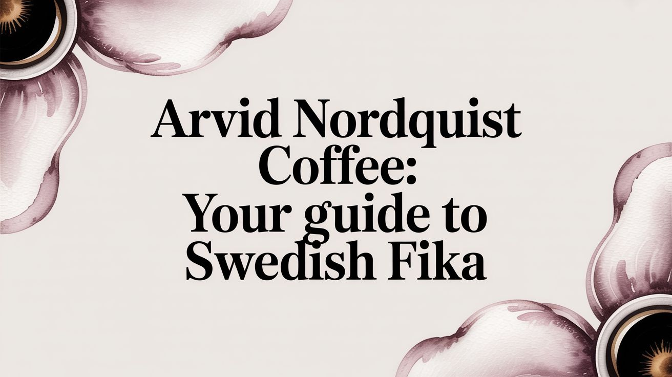 Arvid Nordquist Coffee: Your Guide to Swedish Fika