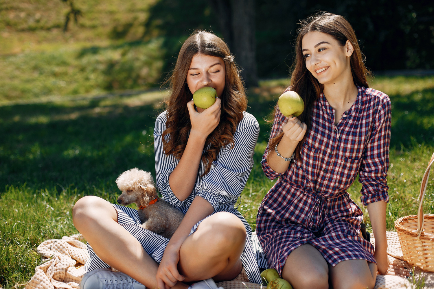 Two young women sitting on a blanket in a grassy park, smiling while holding green apples, with a small dog resting between them in sunlight