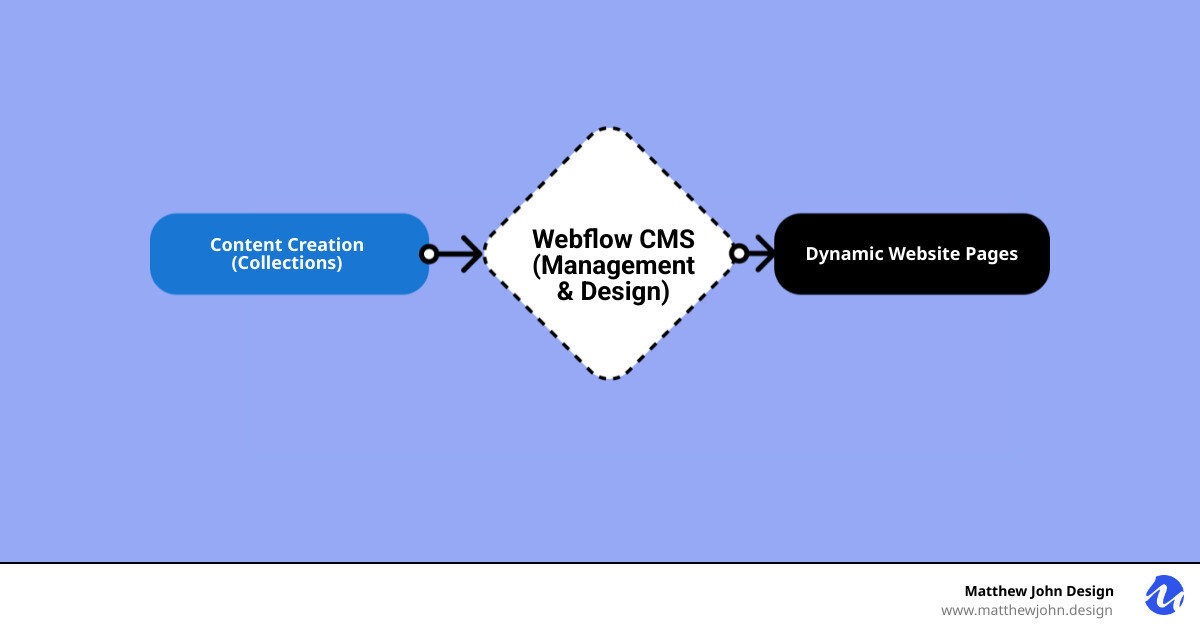 Infographic explaining the basic concept of a CMS showing content flowing from a database to a website template - Webflow content management system illustration