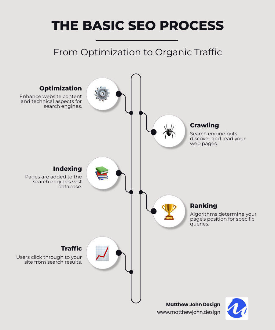 infographic explaining the basic SEO process: Optimization -> Crawling & Indexing -> Ranking -> Traffic - what does seo stand for infographic infographic-line-5-steps-neat_beige