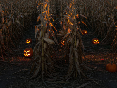 Halloween corn maze with glowing jack-o'-lanterns at dusk.