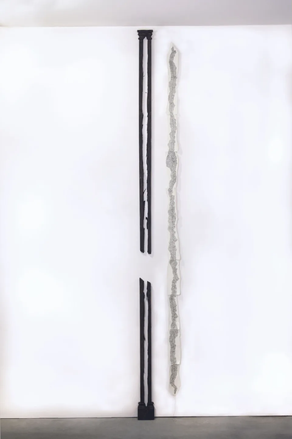 American Autoscopy by Avi Saliman