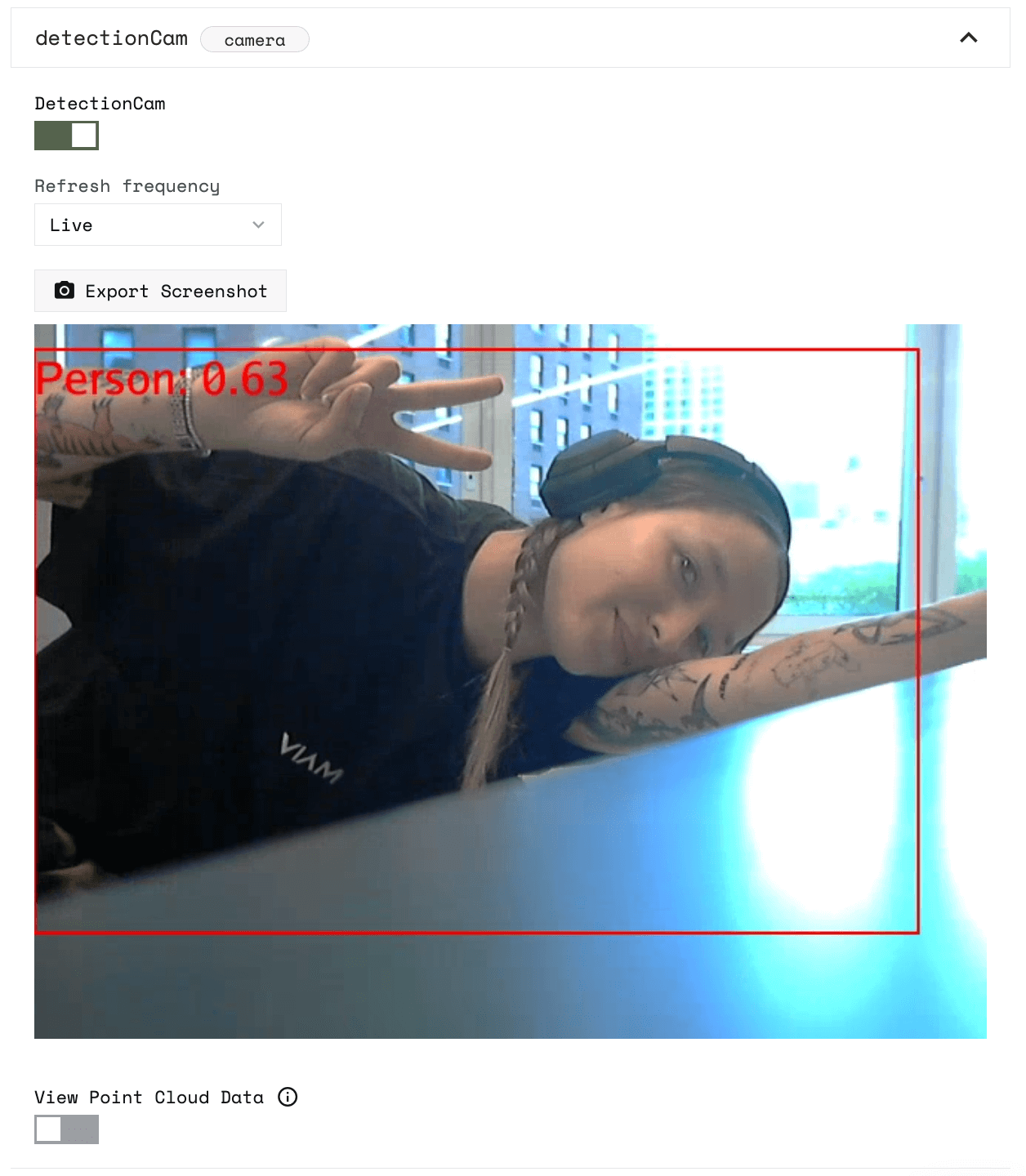 detectionCam component panel in the Control tab, DetectionCam toggled on and a person is in front of the frame with a red detection box around her saying Person: 0.63