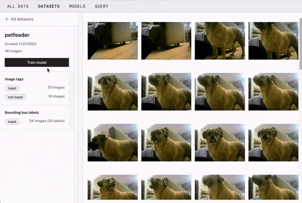 A video showing an object detection model being created within the Viam app. A person is titling the model "pet-feeder," selecting single label classification, and the starting to train the model.