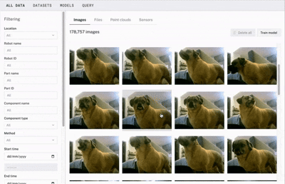 A gif showing images being tagged within Viam.